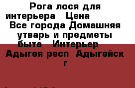Рога лося для интерьера › Цена ­ 3 300 - Все города Домашняя утварь и предметы быта » Интерьер   . Адыгея респ.,Адыгейск г.